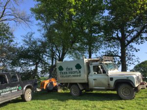 The tree people tree surgeons in barnstaple north devon