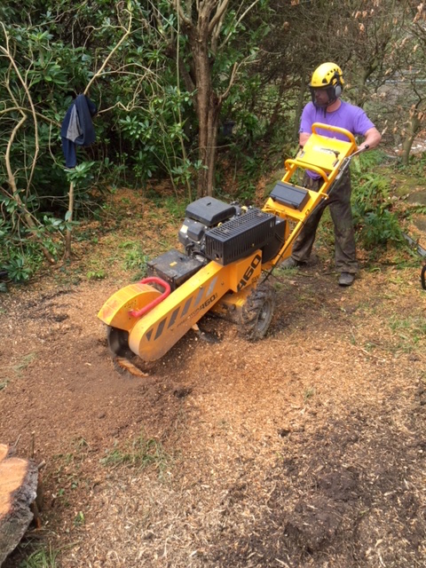 Stump Grinding Service