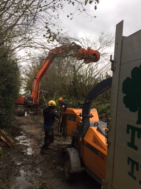 Tree Shear Hire